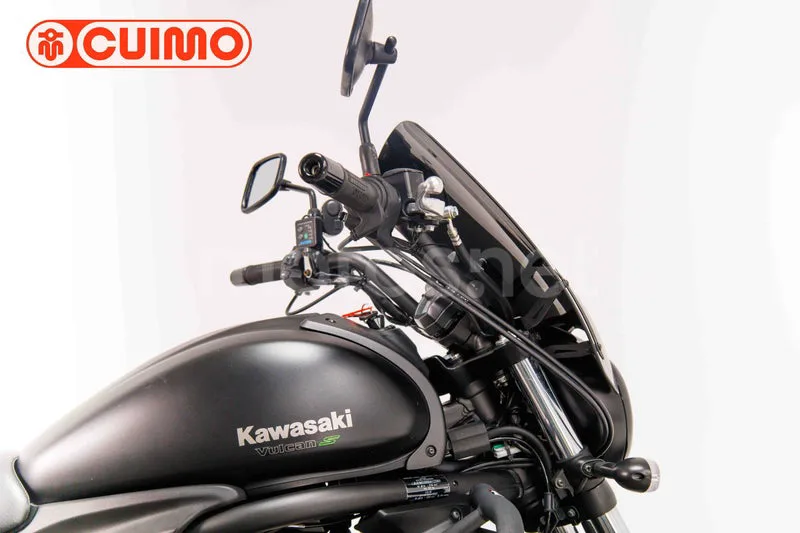 Kawasaki Vulcan S - Vista 13