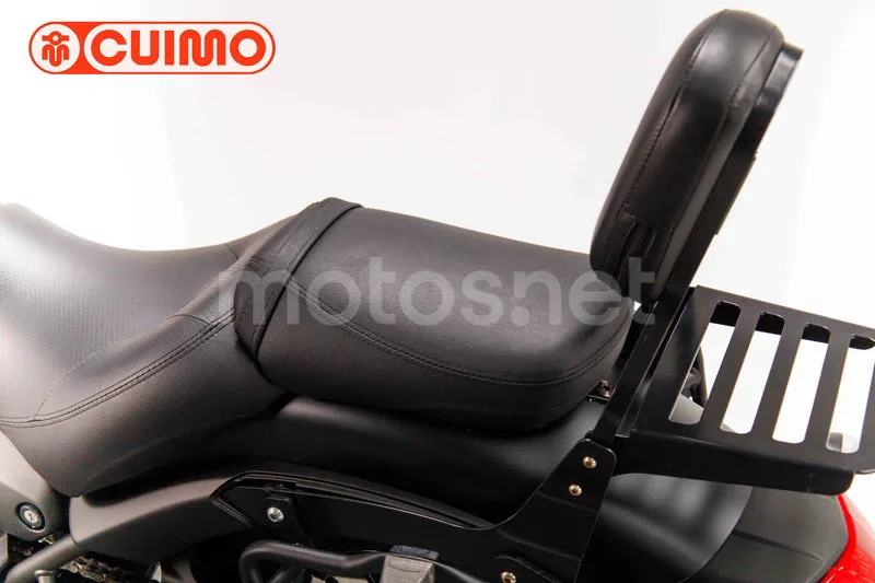 Kawasaki Vulcan S - Vista 21