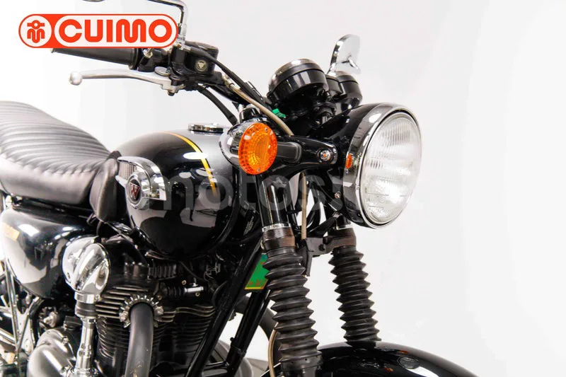 Kawasaki W800 SP - Vista 11