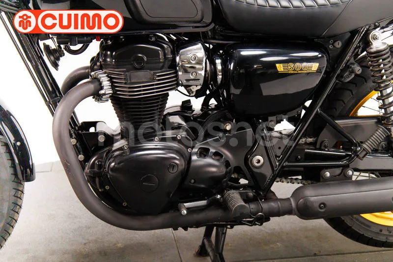 Kawasaki W800 SP - Vista 20