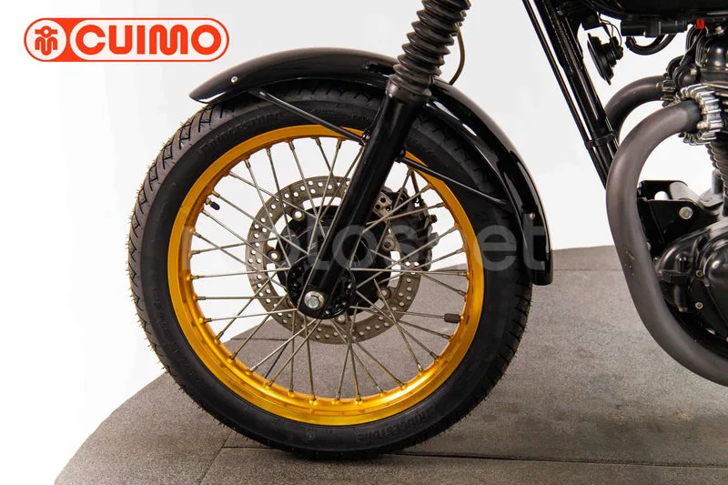 Kawasaki W800 SP - Vista 22