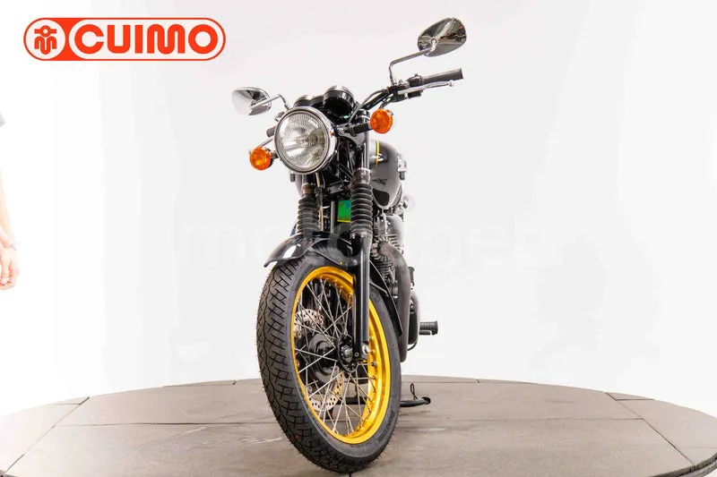 Kawasaki W800 SP - Vista 10