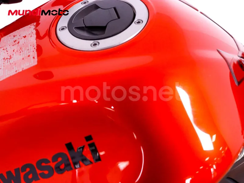 Kawasaki Z1000 - Vista 59
