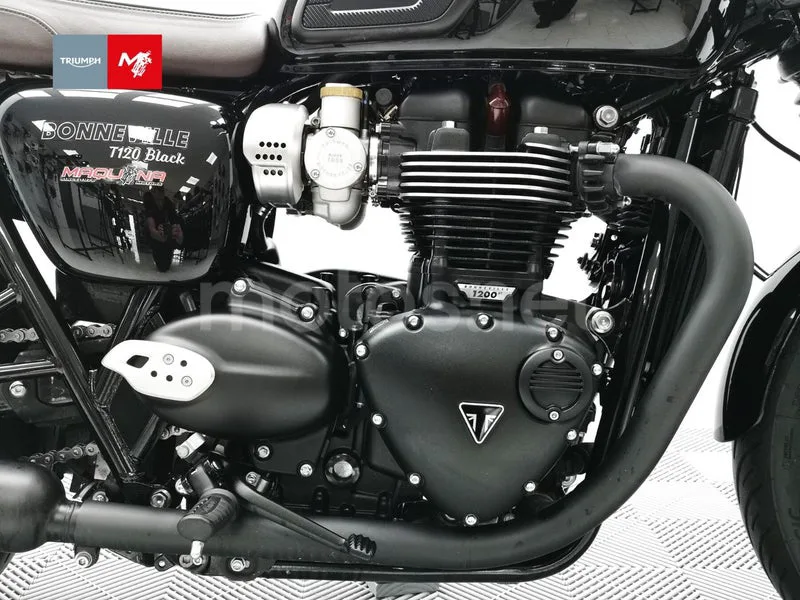 Triumph Bonneville T120 - Vista 15