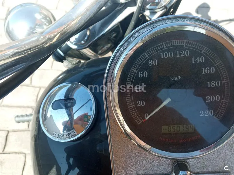 Harley-Davidson Heritage Softail - Vista 4