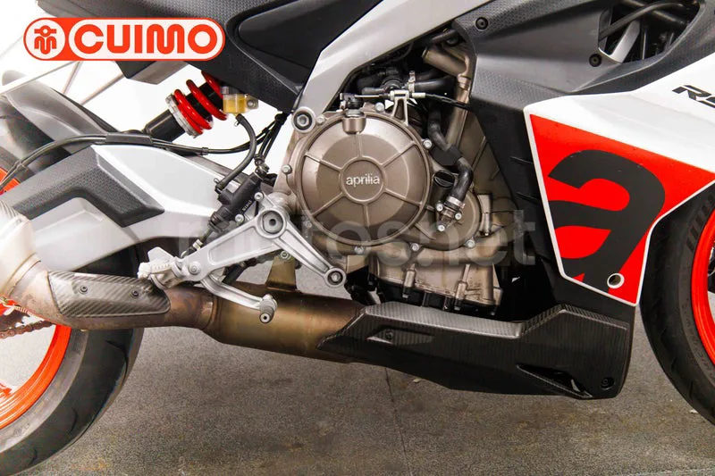 Aprilia RS 660 - Vista 15