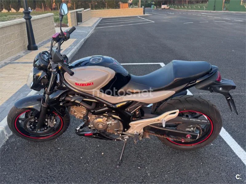 Suzuki Gladius 650 - Vista 3