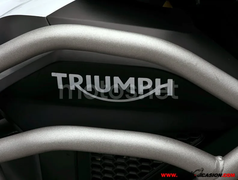 Triumph Tiger 1200 Rally - Vista 9