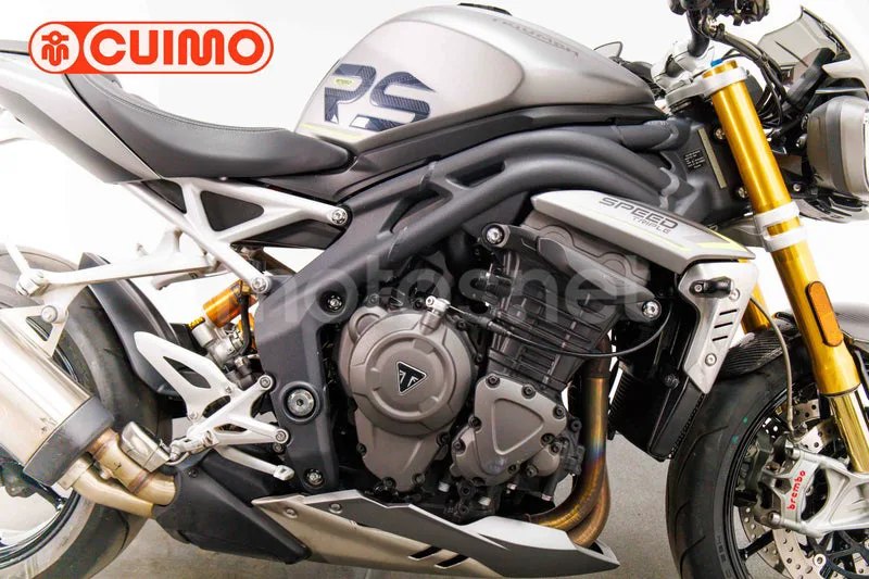 Triumph Speed Triple - Vista 28