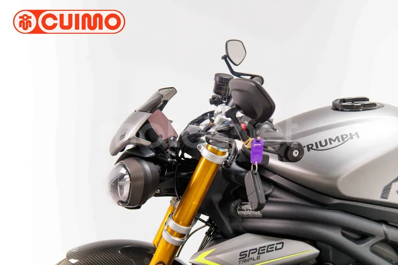Triumph Speed Triple - Vista 42