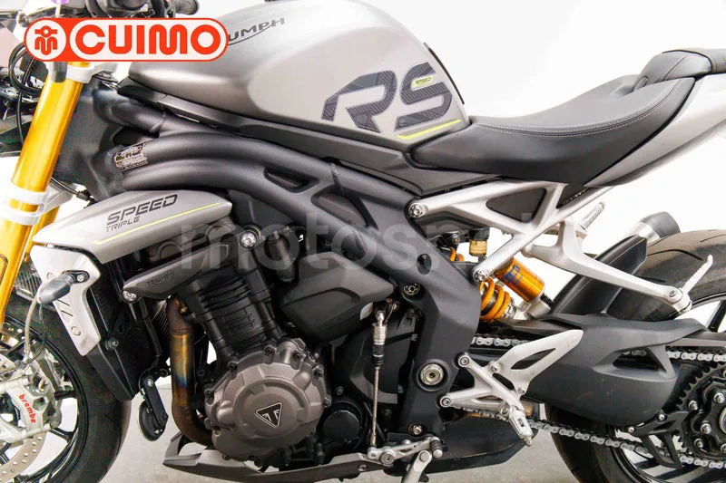 Triumph Speed Triple - Vista 46