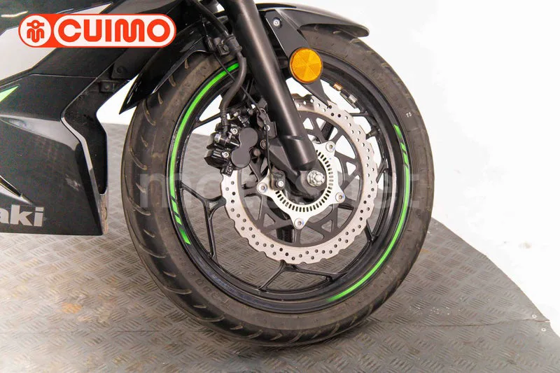Kawasaki Ninja 125 - Vista 13