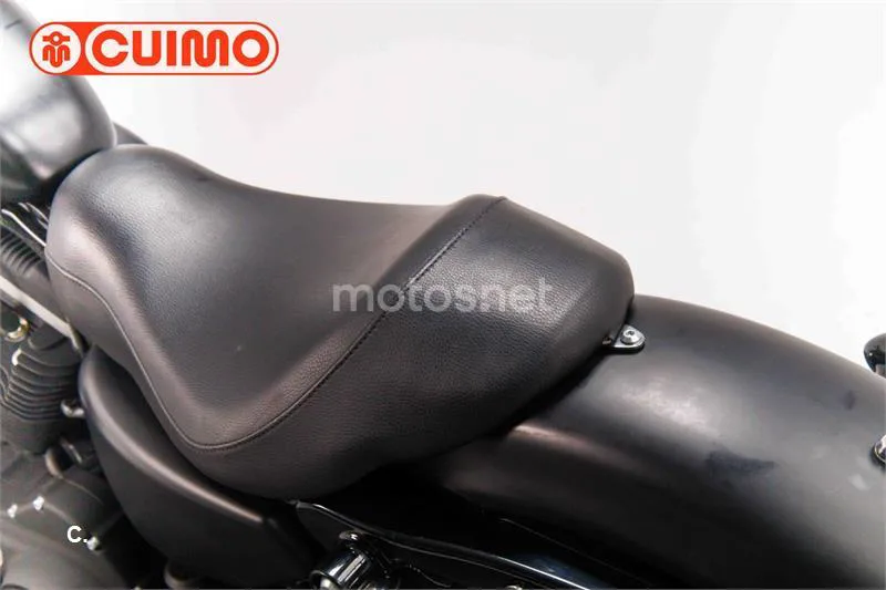 Harley-Davidson Iron 883 - Vista 21