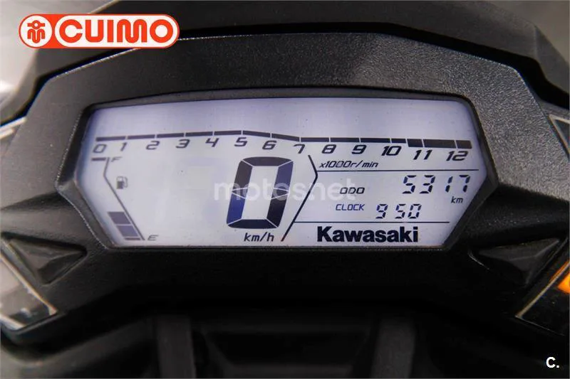 Kawasaki Ninja 125 - Vista 25