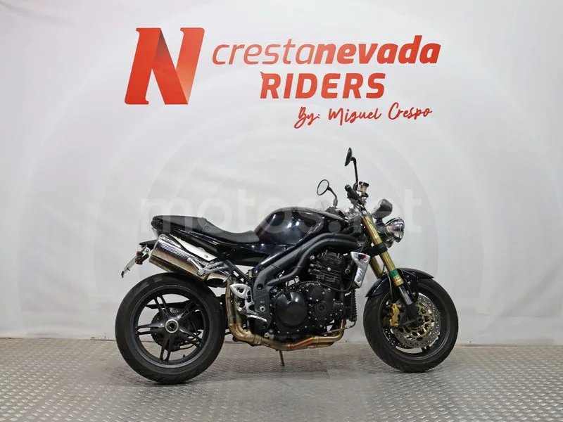 Triumph Speed Triple - Vista 11