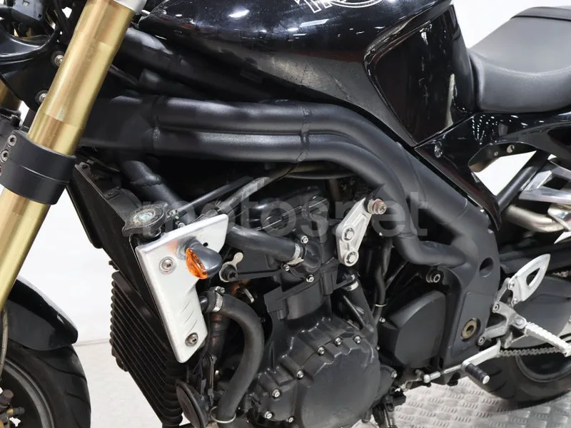 Triumph Speed Triple - Vista 13