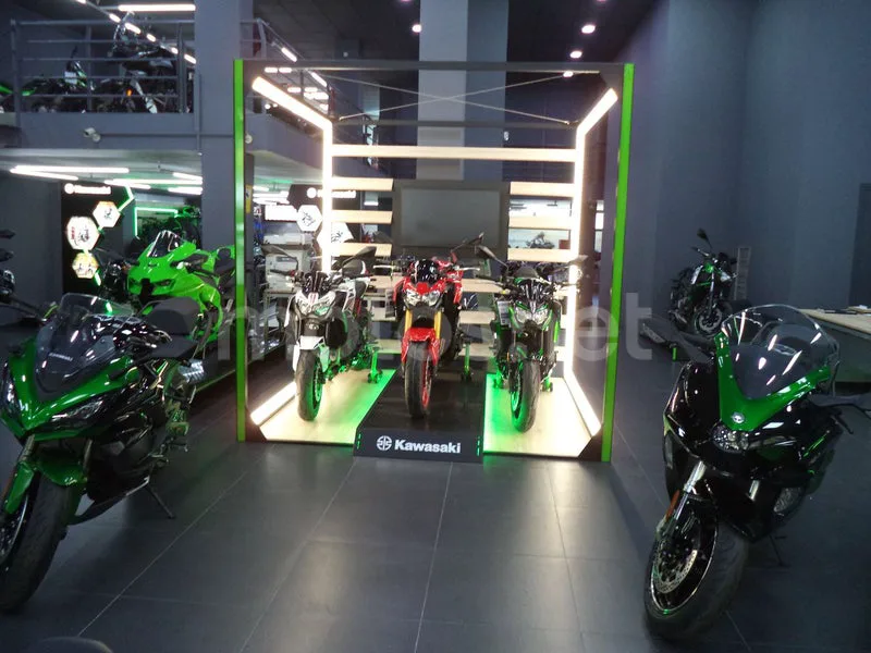 Yamaha XMAX 300 - Vista 12