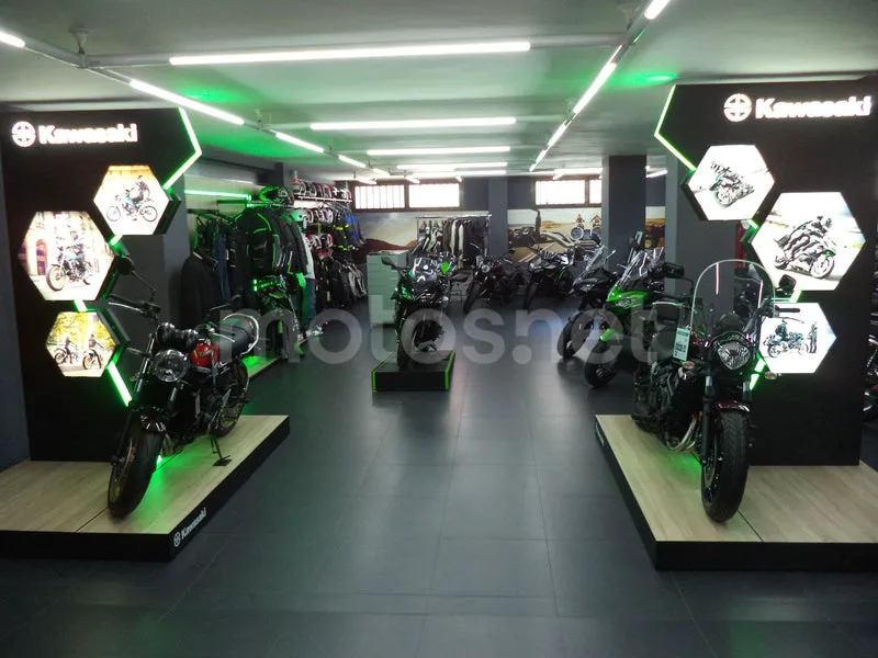 Yamaha XMAX 300 - Vista 14