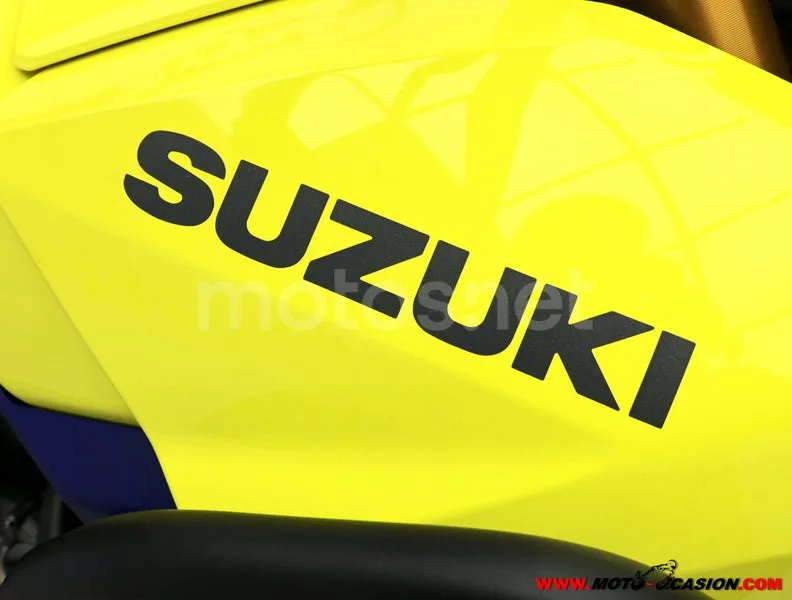 Suzuki V-Strom 800 - Vista 9