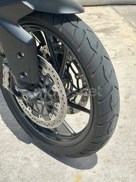 Triumph Tiger 900 - Vista 8