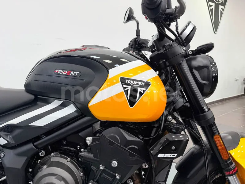 Triumph Trident 660 - Vista 11