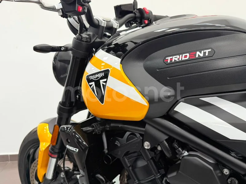 Triumph Trident 660 - Vista 14