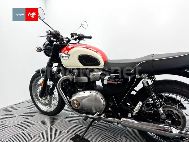 Triumph Bonneville T100 - Vista 12