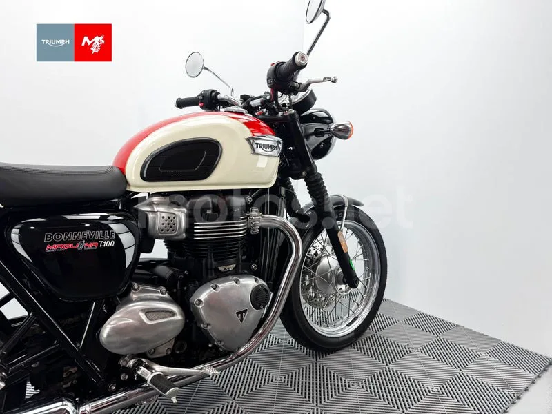 Triumph Bonneville T100 - Vista 5