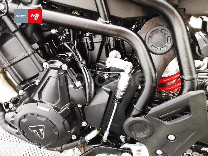 Triumph Tiger 900 - Vista 17