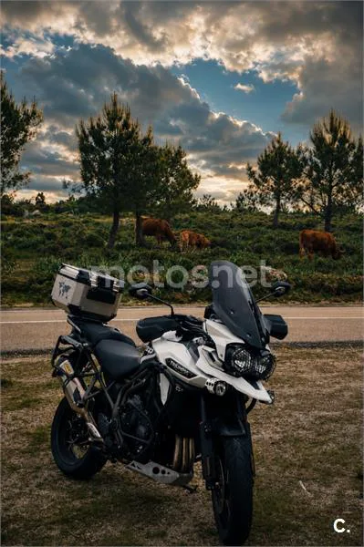 Triumph Tiger Explorer - Vista 8