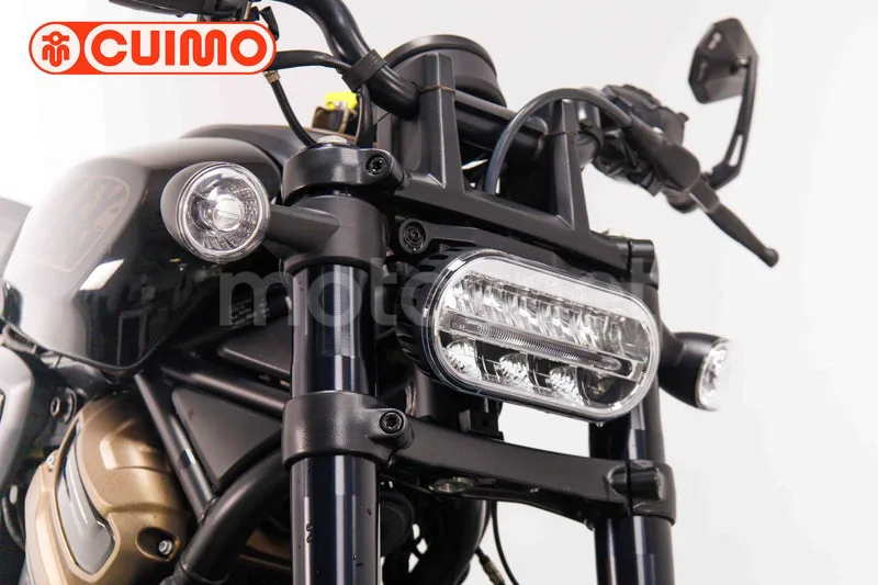 Harley-Davidson Sportster S - Vista 11