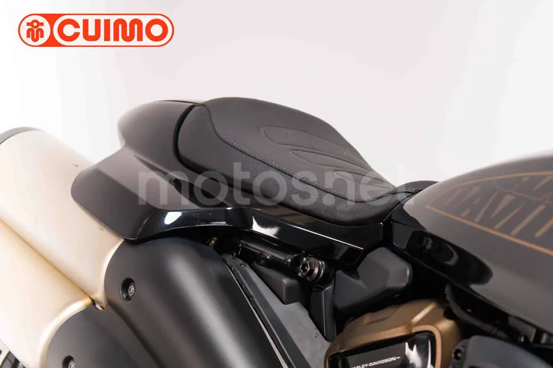Harley-Davidson Sportster S - Vista 12