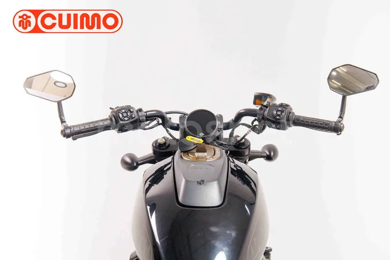 Harley-Davidson Sportster S - Vista 17