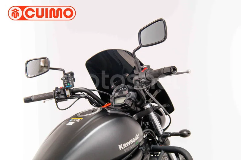 Kawasaki Vulcan S - Vista 18
