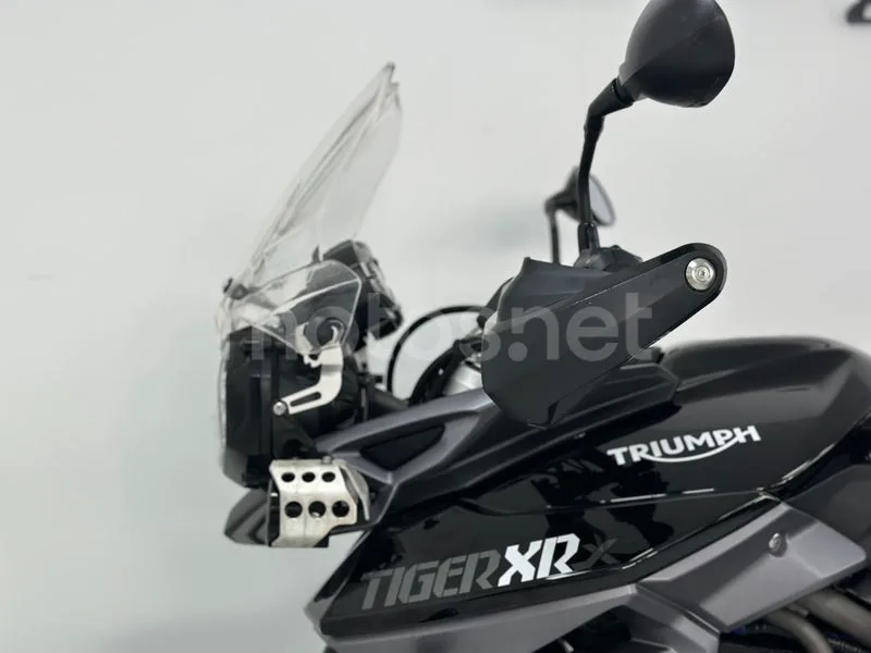 Triumph Tiger 800 XR - Vista 15