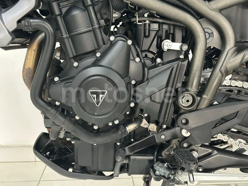 Triumph Tiger 800 XR - Vista 18