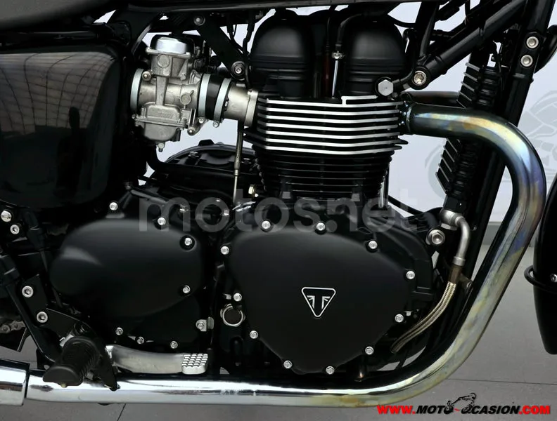 Triumph Bonneville T100 - Vista 5