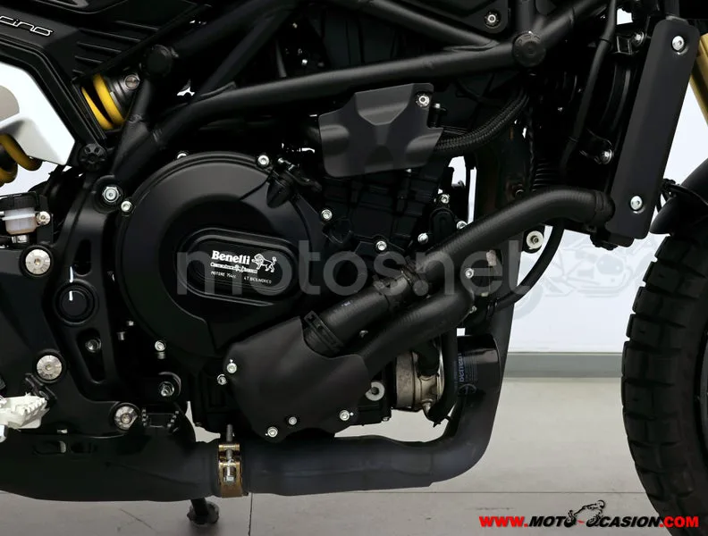 Benelli Leoncino 800 - Vista 5