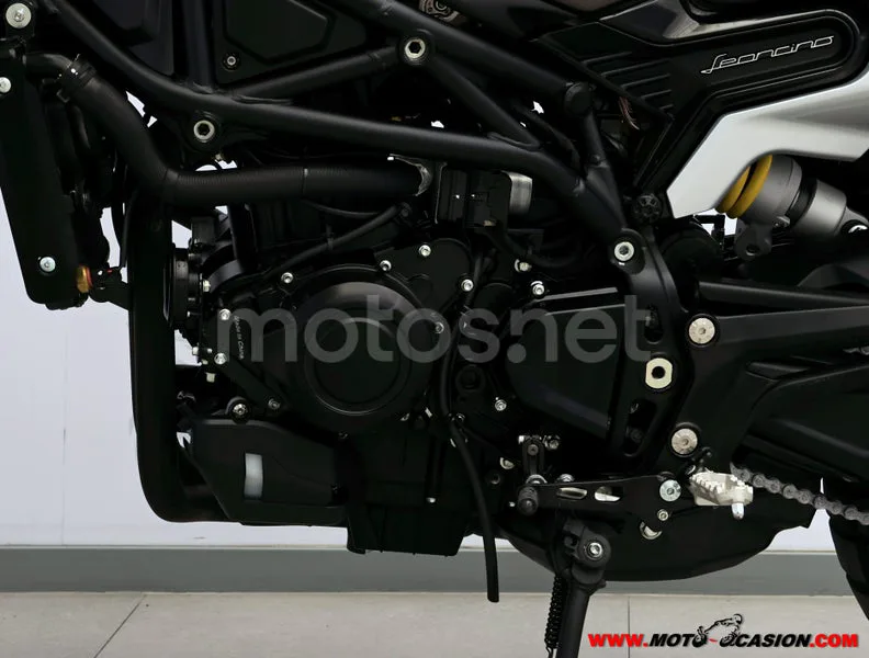 Benelli Leoncino 800 - Vista 10