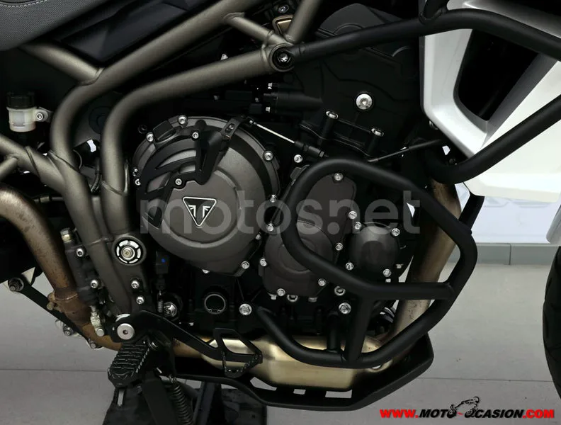 Triumph Tiger 800 XR - Vista 5