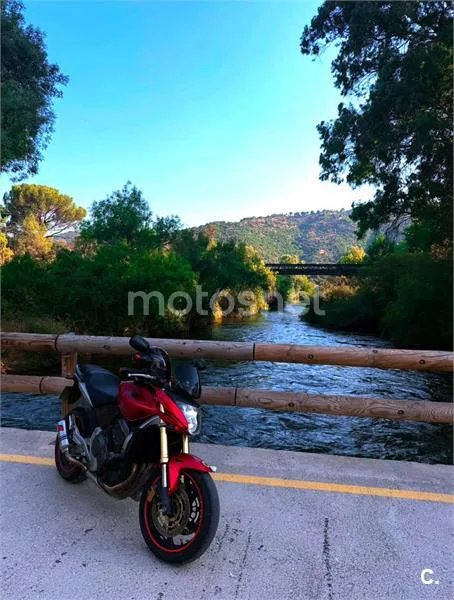 Honda CB600F Hornet 3500 € 2007 Jaén - 2