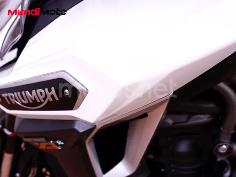 Triumph Tiger 1200 - Vista 16