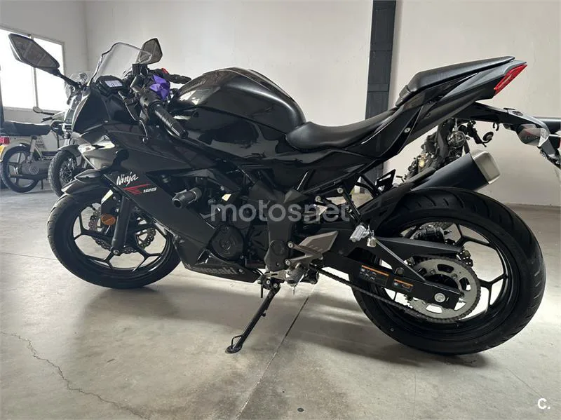 Kawasaki Ninja 125 - Vista 3