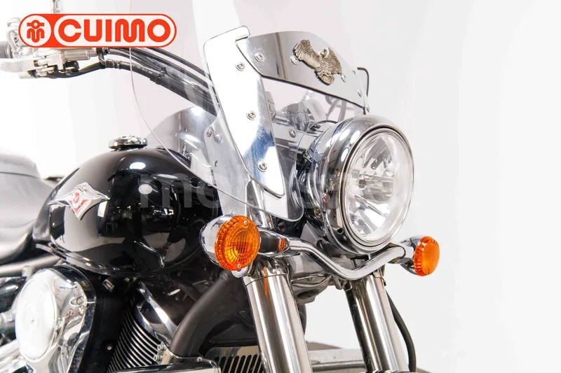 Kawasaki VN900 Classic - Vista 11