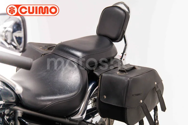 Kawasaki VN900 Classic - Vista 23