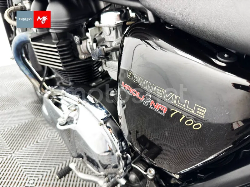 Triumph Bonneville T100 - Vista 14