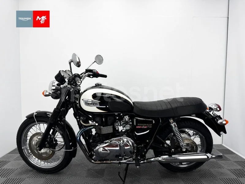 Triumph Bonneville T100 - Vista 15