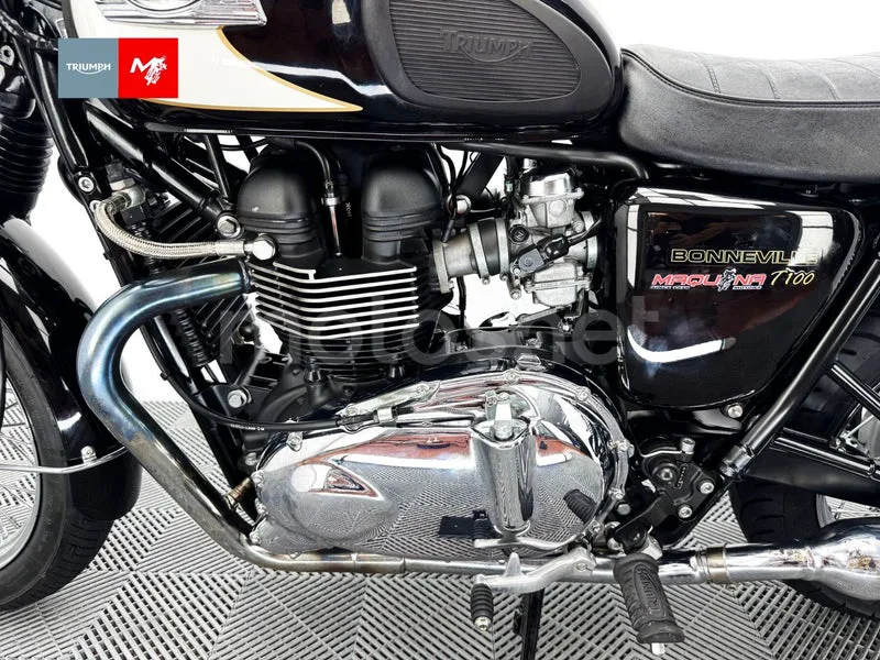Triumph Bonneville T100 - Vista 21