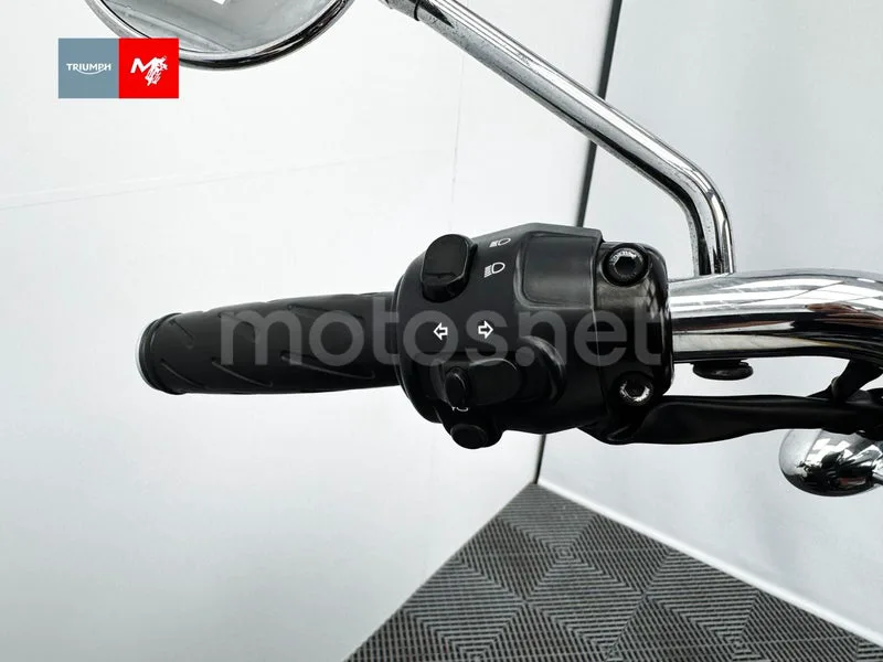 Triumph Bonneville T100 - Vista 10