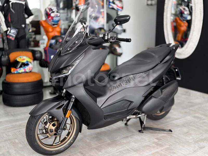 Zontes 350 D - Vista 6
